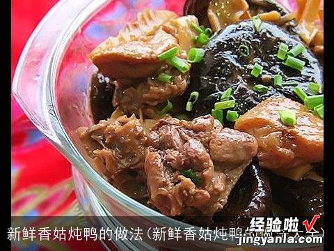 新鲜香姑炖鸭的做法大全 新鲜香姑炖鸭的做法