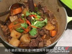 啤酒炖牛腩的做法大全 炖牛腩的做法大全