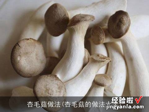 杏毛菇的做法大全 杏毛菇做法