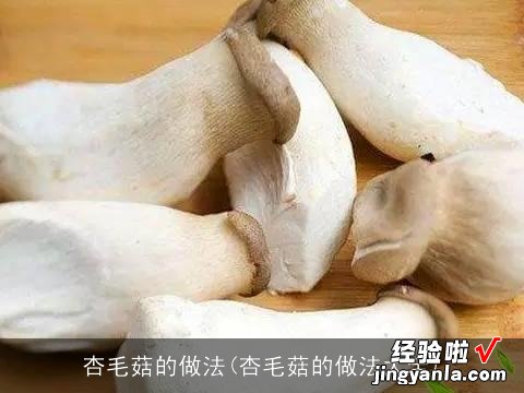 杏毛菇的做法大全 杏毛菇的做法