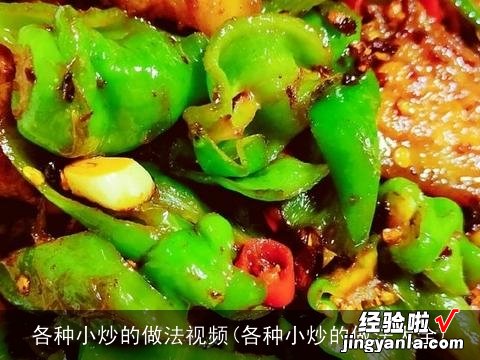 各种小炒的做法大全 各种小炒的做法视频