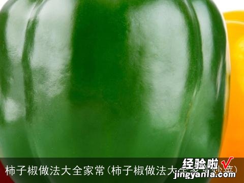 柿子椒做法大全家常炒菜 柿子椒做法大全家常