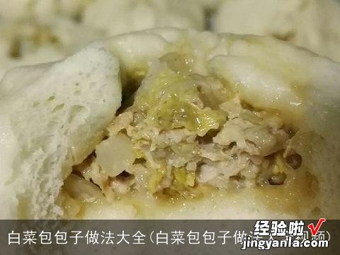 白菜包包子做法大全视频 白菜包包子做法大全