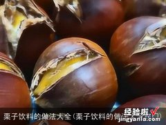 栗子饮料的做法大全窍门 栗子饮料的做法大全