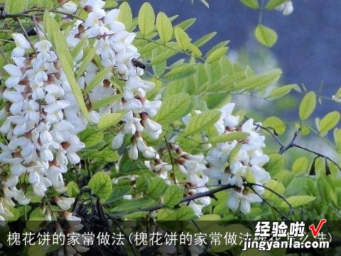 槐花饼的家常做法槐花怎么洗 槐花饼的家常做法