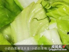 小奶白菜做法大全视频 小奶白菜做法大全