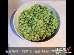 毛豆烧鸭肉的做法大全 毛豆烧鸭肉的做法