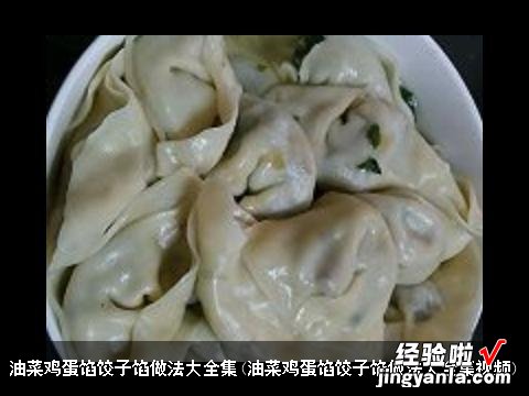 油菜鸡蛋馅饺子馅做法大全集视频 油菜鸡蛋馅饺子馅做法大全集