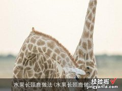 水果长颈鹿做法大全 水果长颈鹿做法