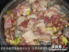 五花肉煮花生的做法大全窍门 五花肉煮花生的做法大全