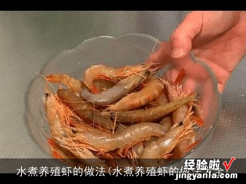 水煮养殖虾的做法大全 水煮养殖虾的做法
