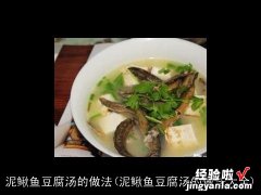 泥鳅鱼豆腐汤的做法大全 泥鳅鱼豆腐汤的做法