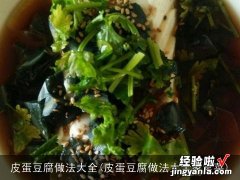 皮蛋豆腐做法大全家常菜 皮蛋豆腐做法大全