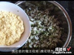 槐花糕怎么做 槐花糕的做法视频