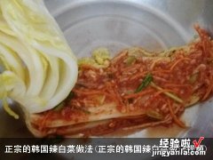 正宗的韩国辣白菜做法视频 正宗的韩国辣白菜做法