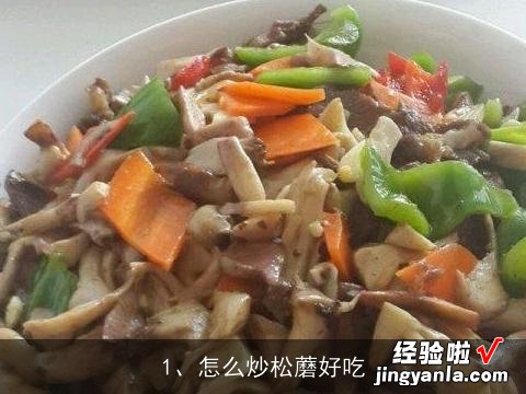 怎么炒松蘑好吃, 松蘑炒肉片的做法，松蘑炒肉片怎么做好吃，松蘑