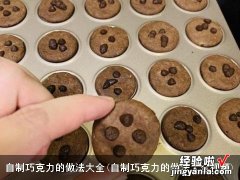 自制巧克力的做法大全视频 自制巧克力的做法大全