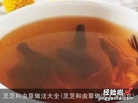 灵芝和虫草做法大全图片 灵芝和虫草做法大全