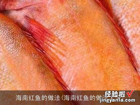 海南红鱼的做法大全 海南红鱼的做法