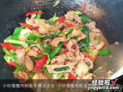 小炒猪瘦肉的家常做法大全窍门 小炒猪瘦肉的家常做法大全