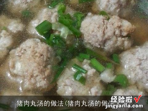 猪肉丸汤的做法大全 猪肉丸汤的做法