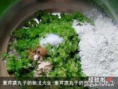 素芹菜丸子的做法大全窍门 素芹菜丸子的做法大全