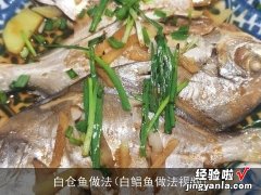 白鲳鱼做法视频 白仓鱼做法