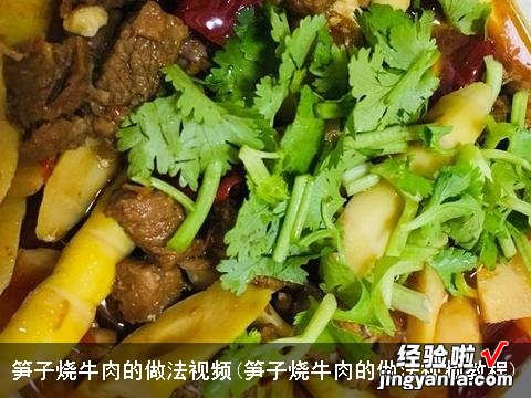 笋子烧牛肉的做法视频教程 笋子烧牛肉的做法视频