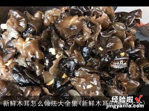 新鲜木耳的做法大全 新鲜木耳怎么做法大全集