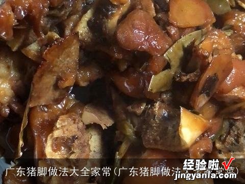 广东猪脚做法大全家常菜 广东猪脚做法大全家常