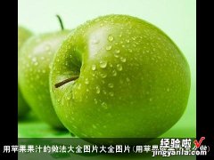 用苹果做果汁怎么做 用苹果果汁的做法大全图片大全图片