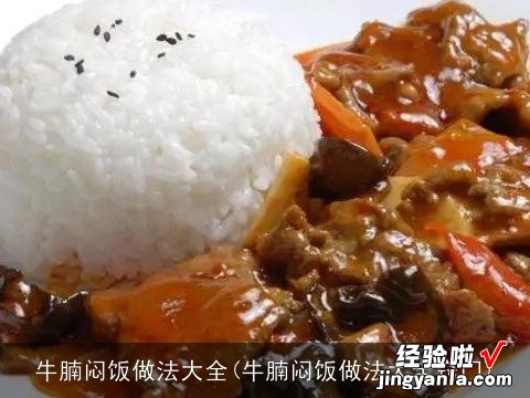 牛腩闷饭做法大全窍门 牛腩闷饭做法大全