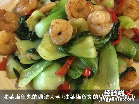 油菜烧鱼丸的做法大全窍门 油菜烧鱼丸的做法大全