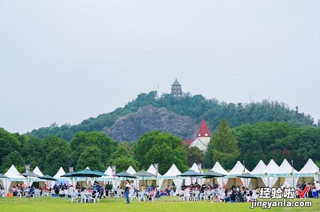 看演出游市集享美食,辰山自然生活节今年这么玩