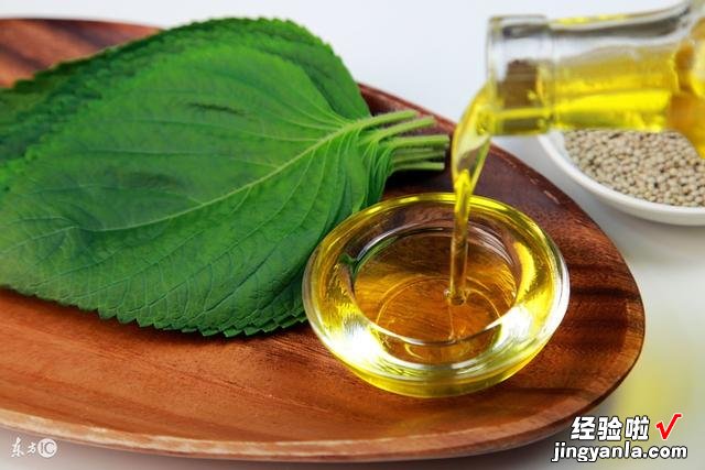 减肥餐怎么吃健康?健康减肥餐的4个关键