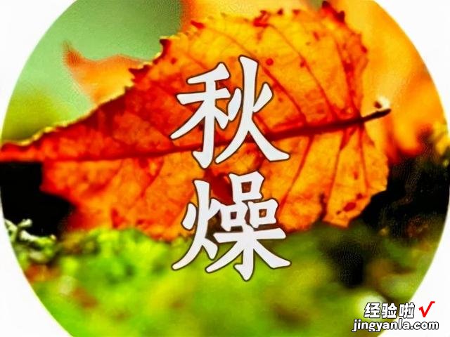 秋季干燥,要润肺生津,推荐5道家常菜,做法易学,成本低效果好