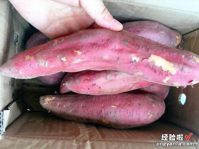 秋冬保存红薯很简单，用了十几年的方法，不腐烂不发芽，越放越甜