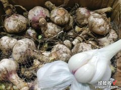 糖醋蒜的正宗配方，酸甜嫩爽开胃，再也不怕大鱼大肉，吃饺子必备