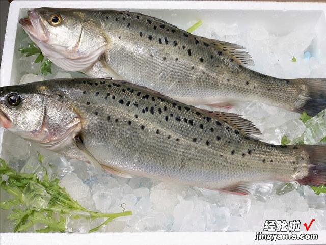 适合冬季吃的4种海鲜,肉质肥厚细嫩,价格便宜,错过要等明年了
