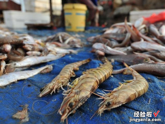 适合冬季吃的4种海鲜,肉质肥厚细嫩,价格便宜,错过要等明年了