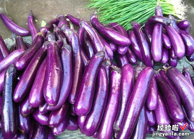 连吃三碗米饭的豆角烧茄子,做法简单,一看就会,汁浓味鲜不油腻