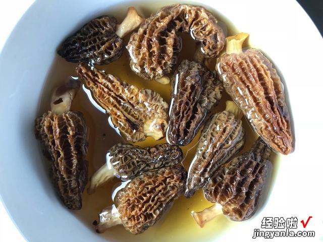 食用菌界的“菌中之王”,营养价值高,煲汤味道鲜,一斤能卖千元