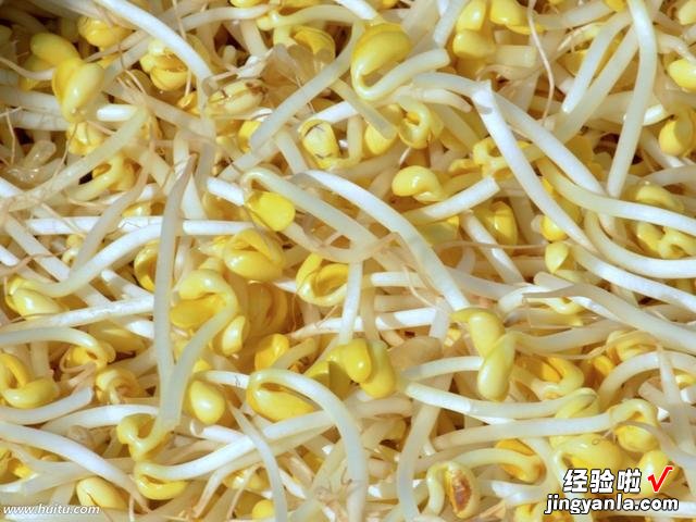 在菜市场买菜时,遇见这6种蔬菜,尽量不要买,菜贩子自己都不吃