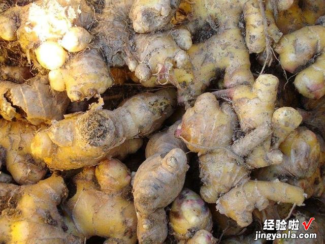 在菜市场买菜时,遇见这6种蔬菜,尽量不要买,菜贩子自己都不吃