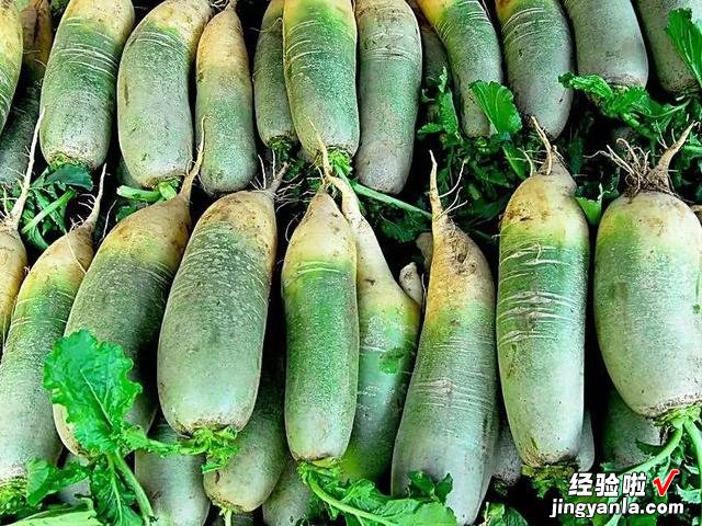 霜降后，包饺子就用它，鲜嫩营养又多汁，我家一周吃4次，太香了