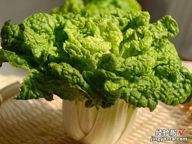 秋天种上这款蔬菜,冬天不愁没菜吃,叶片肥厚细嫩,下大雪也不怕