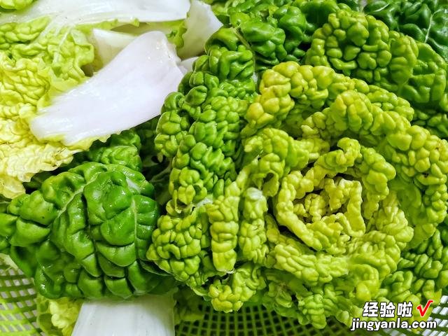 秋天种上这款蔬菜,冬天不愁没菜吃,叶片肥厚细嫩,下大雪也不怕
