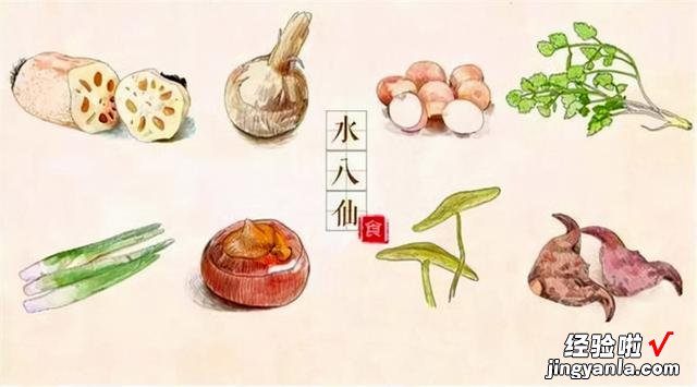 老人说“秋吃水八仙，赛过小神仙”，什么是水八仙？看完涨知识了