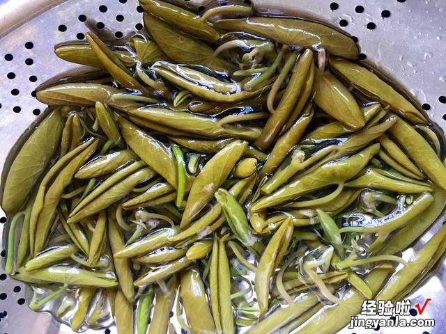 老人说“秋吃水八仙，赛过小神仙”，什么是水八仙？看完涨知识了