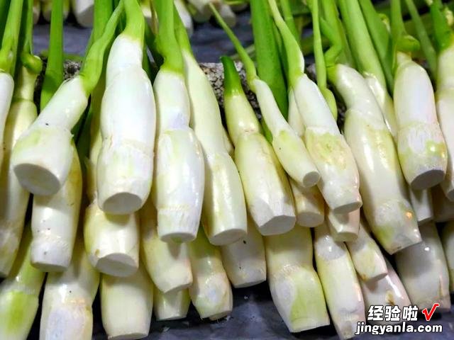 老人说“秋吃水八仙，赛过小神仙”，什么是水八仙？看完涨知识了